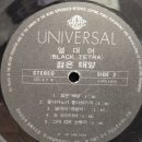 젊은열대어 이미지