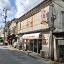 신사로-1 | 대마도 2박3일 여행 둘째 날 버스타고 이즈하라 이동 쓰시마링크호 후기