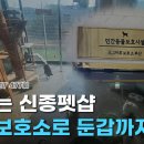 킨텍스꿈동물병원 이미지