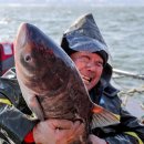 풍어민박 이미지