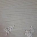 대성농산 이미지