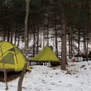 국립유명산자연휴양림 이미지