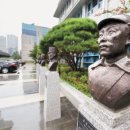 홍뿌리 이미지
