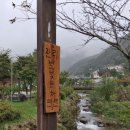 정선 달 별빛 펜션 | 강원도 가족여행 | 정선 별빛 독채 펜션 가성비 숙소 내돈내산 솔직후기