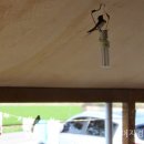 동남빨래나라 이미지