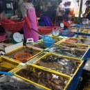 동보수산 이미지