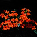 박성철농장 이미지