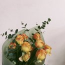 카페언니 이미지