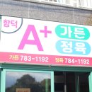 에이플러스고기 이미지