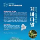 바다친구들 이미지