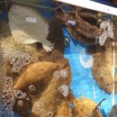 진짜일등수산 이미지