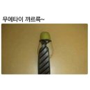 소심생활