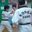 성환태권도 이미지