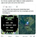 벨포레위크 페스티벌 다녀온 후기