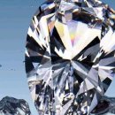 파리의상실 이미지