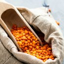 터미널 휘트니스 이미지