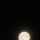 80 이미지