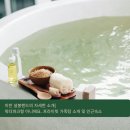 에덴파크모텔 | 서울 근교 프라이빗 온천 추천 | 이천 설봉온천랜드 가족탕 &amp; 다양한 숙소 가격정보
