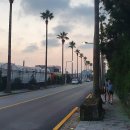 표선리-4 이미지