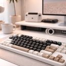 치즈바다 | 사무실 저소음 키보드 추천, QSENN Q87 바다소금축 솔직 후기 (큐센 크림치즈)