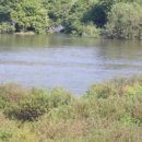 곡성-029 이미지