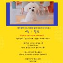 카페인스 이미지