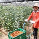 청학농장 이미지