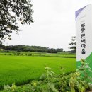 두동편백마을 이미지