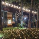 창진산장휴게소 이미지