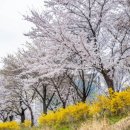 성내4교 아래 이미지