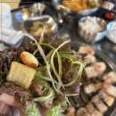 삼굽살 - 영도구 태종로99번길 6 | 삼굽살