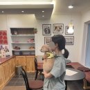 지리산칸호텔 이미지