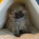 연제구-045 이미지