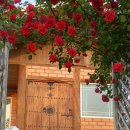 청해농원 이미지