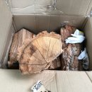 녹색오토캠핑장 이미지