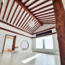 밸런스독 이미지