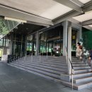 [[ Tiong Bahru Bakery ]] 티옹바루 베이커리❤️ 싱가포르 베이커리💕