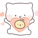 디자인그루 이미지