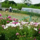 정진훈농장 이미지