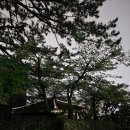 괴정1동-7 이미지