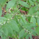 용담초교 이미지