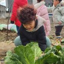 해나라어린이집 이미지