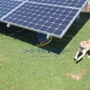 정도태양광발전소 이미지