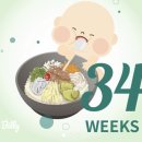 이을안과의원 | 임신 33-34주 일상(수축억제제 처방, 임산부 다래끼)