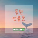 동탄선불폰 이미지