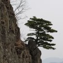 경북의성 비봉산~금성산~산수유마을 이미지