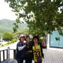 용대리황태촌 이미지