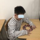 토탈리스 이미지