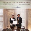 차움 이미지