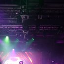 킹스턴 루디스카 콘서트 | 크라잉넛 콘서트로 본 무신사 개러지 시야